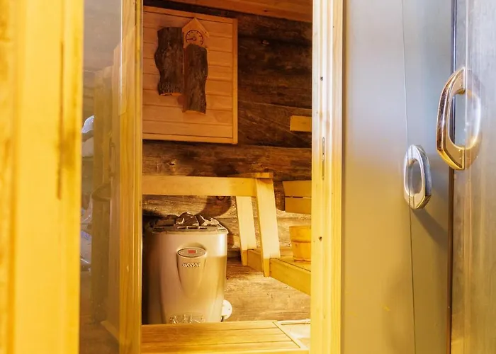 In Lapland - Quality B 公寓 库萨莫